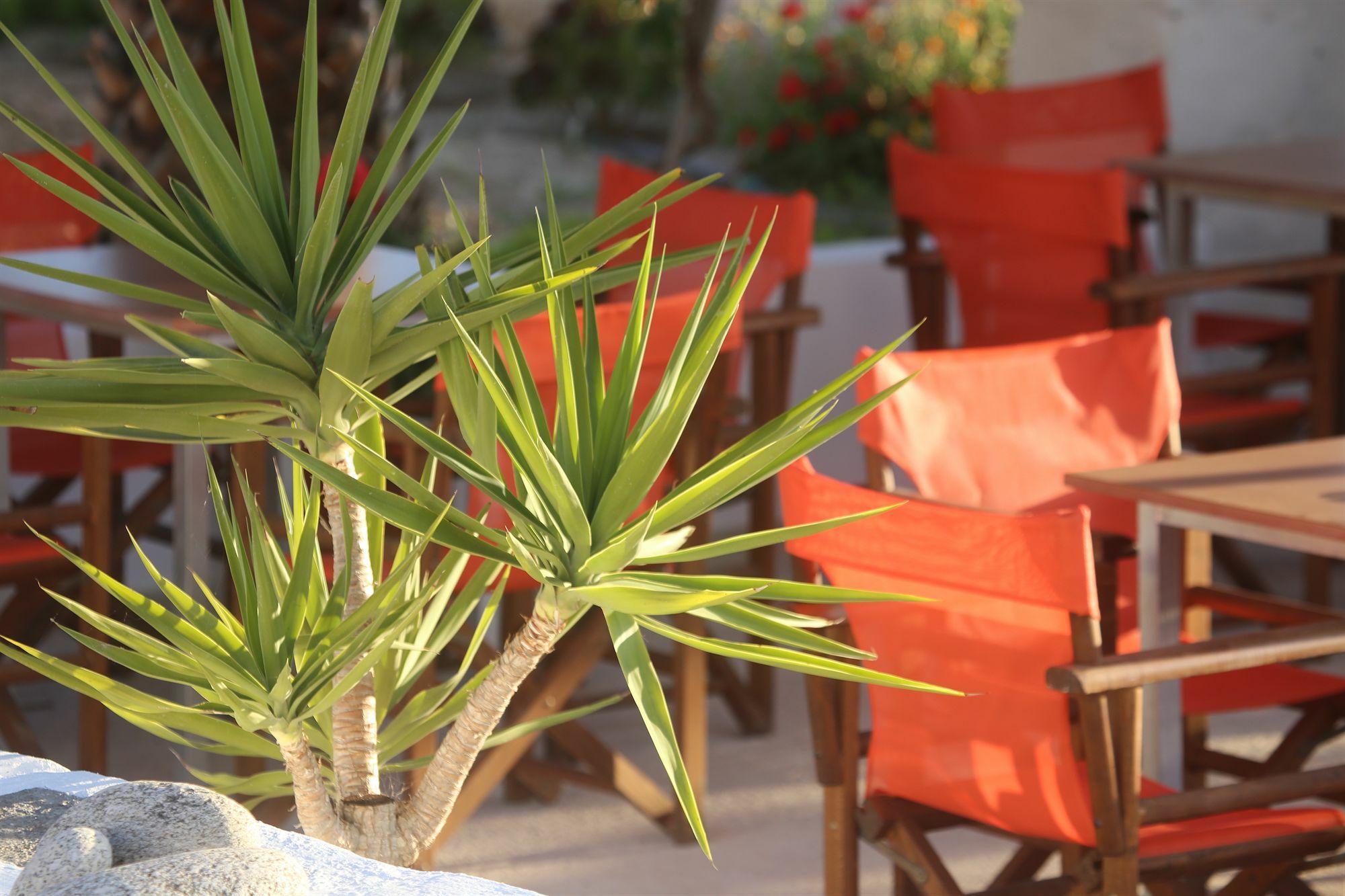 Oasis Rooms & Studios In غاليساس المظهر الخارجي الصورة