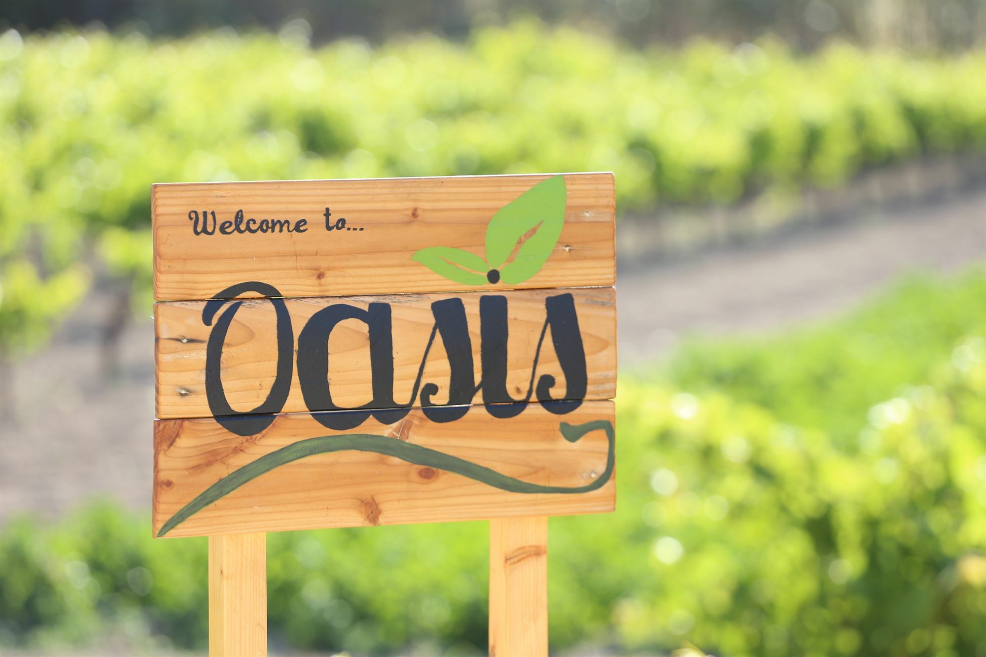 Oasis Rooms & Studios In غاليساس المظهر الخارجي الصورة